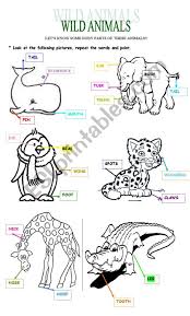 This Worksheet Helps You To Teach Wild Animals And Specific Vocabulary Needed When Describing Wild Animals Thank You Con Imagenes Clase De Ingles Jardin Ingles Animales