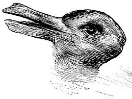 Image result for illusion pictures