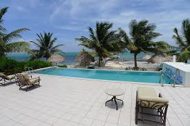 His former neighbor, gregory faull, reportedly complained about the animals. Gsu Raid My Property Today John Mcafee