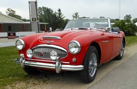 Image result for Jonquil 1963 Austin