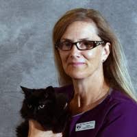 80+ "Ellery" profiles