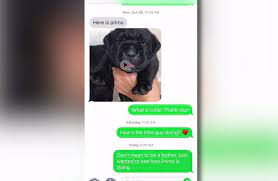 Checking 'include nearby areas' will expand your search. Craigslist Puppy Ad Scams People Across The Southeast Out Of Thousands Suspect May Be From Nc Cbs 17