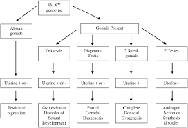 Image result for Sexual Development