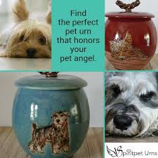 Stunning Handmade Urns For Pets They Are As Unique As Your Pet Angel Pet Urns Dog Urns Pet Urns Dogs