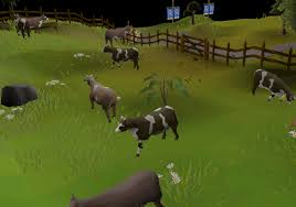 The best money maker in f2p as well as the highest requirement method in this guide is smithing rune plateskirt, rune platelegs, or rune swords at level 99 smithing. New Player Osrs F2p Money Making 2020 Guide