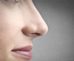 Your nose is the part of your face which sticks out above your mouth. Right On The Nose Mapping Ignorance