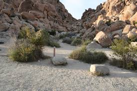 The boulders are literally behind the campsite and the boy scout hiking trail is a long and strenuous hiking trail. Joshua Tree National Park S Best Campsites Photos Of The 30 Best