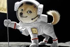 The billionaire tycoon may have sparked intense interest in the digital currency, but he also has his own reservations about it. Elon Musk S Tweet About Dogecoin Sends Price Up 10 In 30 Minutes Again