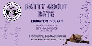 Batty About Bats