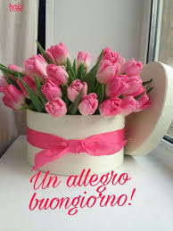 Scarica la gif animata da qui. Guarda Cosa Ho Fatto Con Picsart Crea Il Tuo Gratuitamente Https Picsart App Link Tgcvrslybf Auguri Di Buon Compleanno Buon Compleanno Fiori Di Compleanno