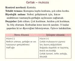 Bu Yazi Sagligina Format At Kitabindandir Yazari M Baris Muslu Neuroformat I Kisaca Anlatmak Gerekirse Bir Kisi Bilinc Duzeyinde Goruntuler Ile Duygular Stres Baris