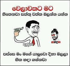 Check spelling or type a new query. Pin By Tharindu Dilshan On Jokes Friendship Quotes Funny Friends Quotes Funny Quotes