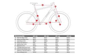 Carver Tour 100 2020 28 Zoll Gunstig Kaufen Fahrrad Xxl