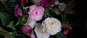 Maybe you would like to learn more about one of these? Michler S Florist Lexington Ky Florist Since 1901 Flower Delivery