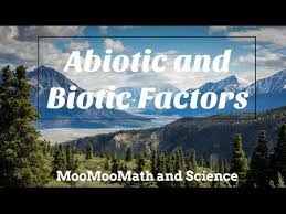 5 Biotic Factors In The Ocean Youtube Abiotic Biotic Biomes