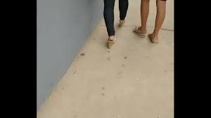 Professora gostosa indo dar aula - XNXX.COM