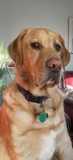 Gary Leake (@coachgleake)