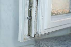 Below are 7 ways you can detect mold in your home. What To Do About Mold On Windows Modernize
