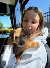 My recent companion rescue. Girls day out to Starbucks for a pup cup.