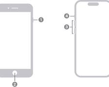 Image of iPhone 8 Home and Power buttons