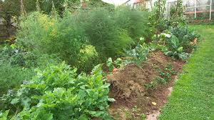 Hugelbeet Anlegen Hugelbeet Garten Hugel