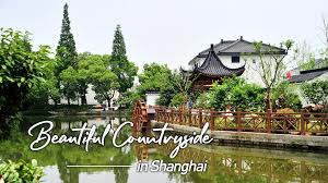 The english countryside is one of the most diverse in the world. Finding The Beautiful Countryside In Shanghai Cgtn