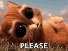See more ideas about cute memes, memes, funny pictures. Pretty Please Gifs Tenor