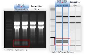 I updated my iphone and lost the link for rnas rate calculator. Complete Diagnostic Covid 19 Workflow Norgen Biotek Corp