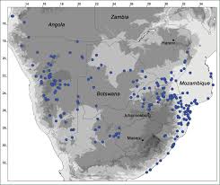 Check spelling or type a new query. Monograph Of Coccinia Cucurbitaceae Abstract Europe Pmc
