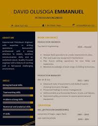 Your organization operates in a professional, dynamic and vibrant environment. Cv Templates For All Job Fields In Nigeria 2021 Myjobmag