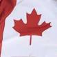 EAL Citizenship Test Preparation event in Regina, SK, Canada