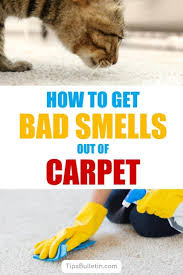 However, once a dog has had an accident in the house, smelling those pheromones may encourage your dog. How To Get Bad Smells And Odors Out Of Carpet 7 Carpet Carpet Smell Cleaning Hacks Deep Cleaning Tips