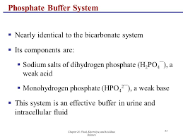 Fluid Electrolyte And Acid Base Balance Ppt Download