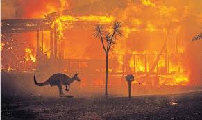 It Has Been One Of The Worst In Australia S History With At Least 17 People Killed The Hamilton Spectator Ja In 2020 Bushfires In Australia Australia Burning House