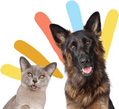 You can look at the address on the map. New Lenox Il 60451 Veterinarian Cedar Way Veterinary Clinic