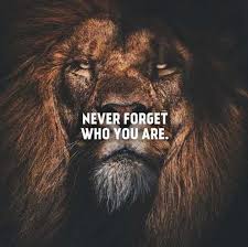 30 Quotes Lions Inspirational Best Quote Hd