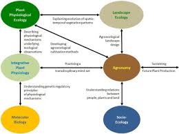 What is plant physiology definition. Linking Integrative Plant Physiology With Agronomy To Sustain Future Plant Production Sciencedirect