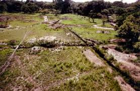 Image result for Cheilanthes angustifrondosa