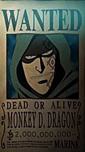 Monkey D Dragons Bounty