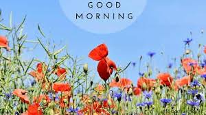 (continue until every child and every teacher in the classroom is named.) good morning everyone we're glad you're here today! 200 Beautiful Good Morning Wishes With Flowers Best Hd Images