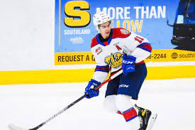 Dylan guenther comes in as mckeen's second ranked forward in our preliminary 31 for the 2021 nhl entry draft and. Bsh 2021 Community Draft Board No 4 Dylan Guenther Broad Street Hockey