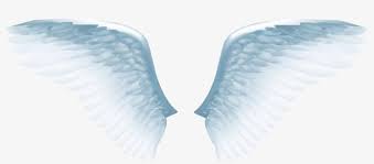 We did not find results for: White Angel Wings Png Angel Vector Free Transparent Png Download Pngkey