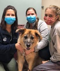 This home is located at 10811 columbus avenue 6 mission hills, ca 91345 us and has been listed on homes.com since 13 july 2021 and is currently priced at $130,000. Fresh Pond Animal Hospital Belmont Ma Pet Hospital