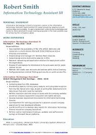information technology assistant resume