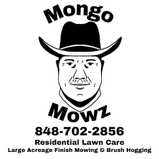 Suggestions of local companies that clear wooded areas please and thank  you!