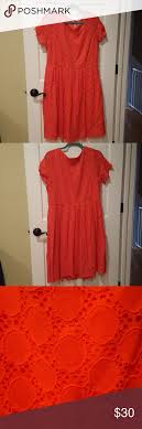 Dress Barn Orange Eyelet Dress 1x Eyelet Dress Dresses Dress Barn Dresses
