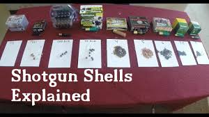 Below are the five different sizes of buckshot that are available for the 12 gauge. Shotgun Shells Explained Youtube