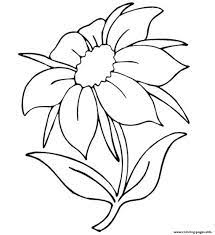 40+ flower coloring pages for kids for printing and coloring. Beautiful Flowers Coloring Pages Printable Coloring Home
