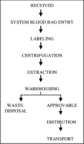 The Flowchart Of The Blood Processing Sector Download