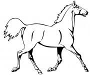 Votre adresse de messagerie ne sera pas publiée. Coloriage Cheval En Couleur Dessin Gratuit A Imprimer